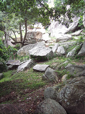 Hatthikucchi Vihara